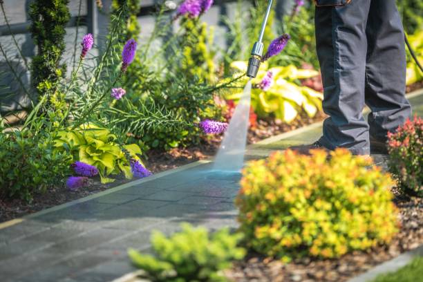 Best Gutter Cleaning  in Haslett, MI