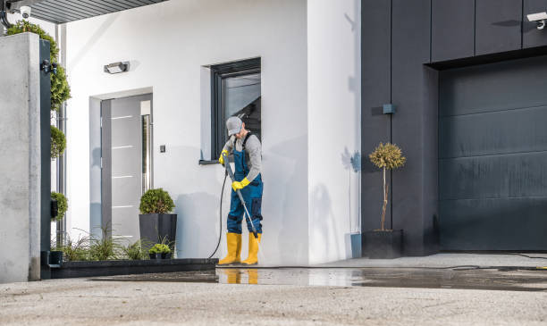 Boat and Dock Cleaning in Haslett, MI